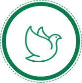 Mission icon