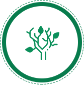 Values icon