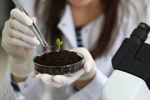 Plant base